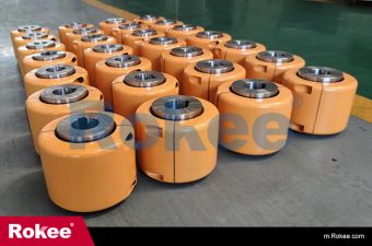 GL roller chain coupling