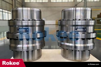 ROD Series Drum Gear Coupling