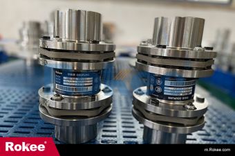 RL Series Diaphragm Coupling