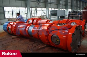 Rokee Standard Couplings