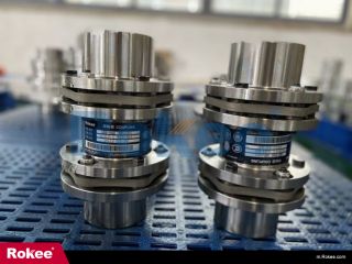 Assembly Drawing Of Elastic Diaphragm Coupling,Diaphragm Coupling,Steel Laminae Couplings