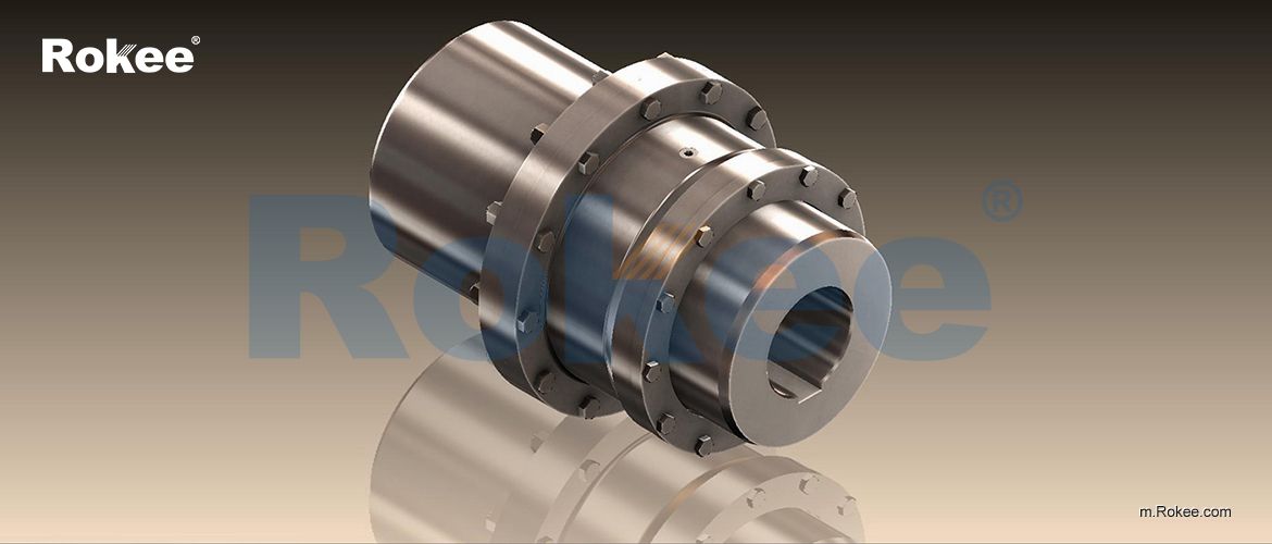 GICLZ Drum Gear Coupling