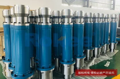 带弹簧安全型齿式联轴器